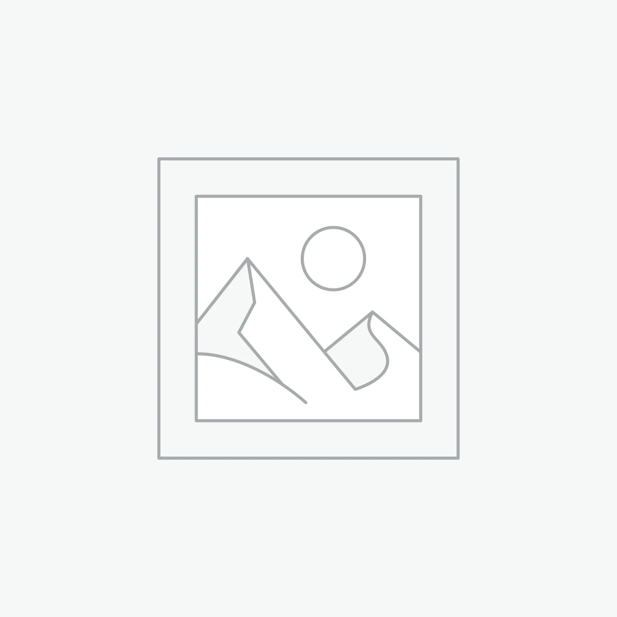 AT89S51 Microcontroller